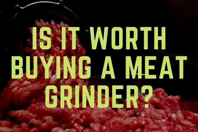 Is It Worth Buying a Meat Grinder