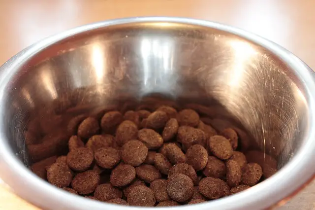 making dog food with meat grinder